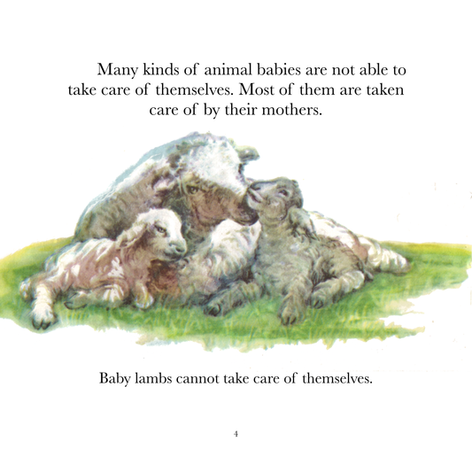 The True Books of Animal Babies