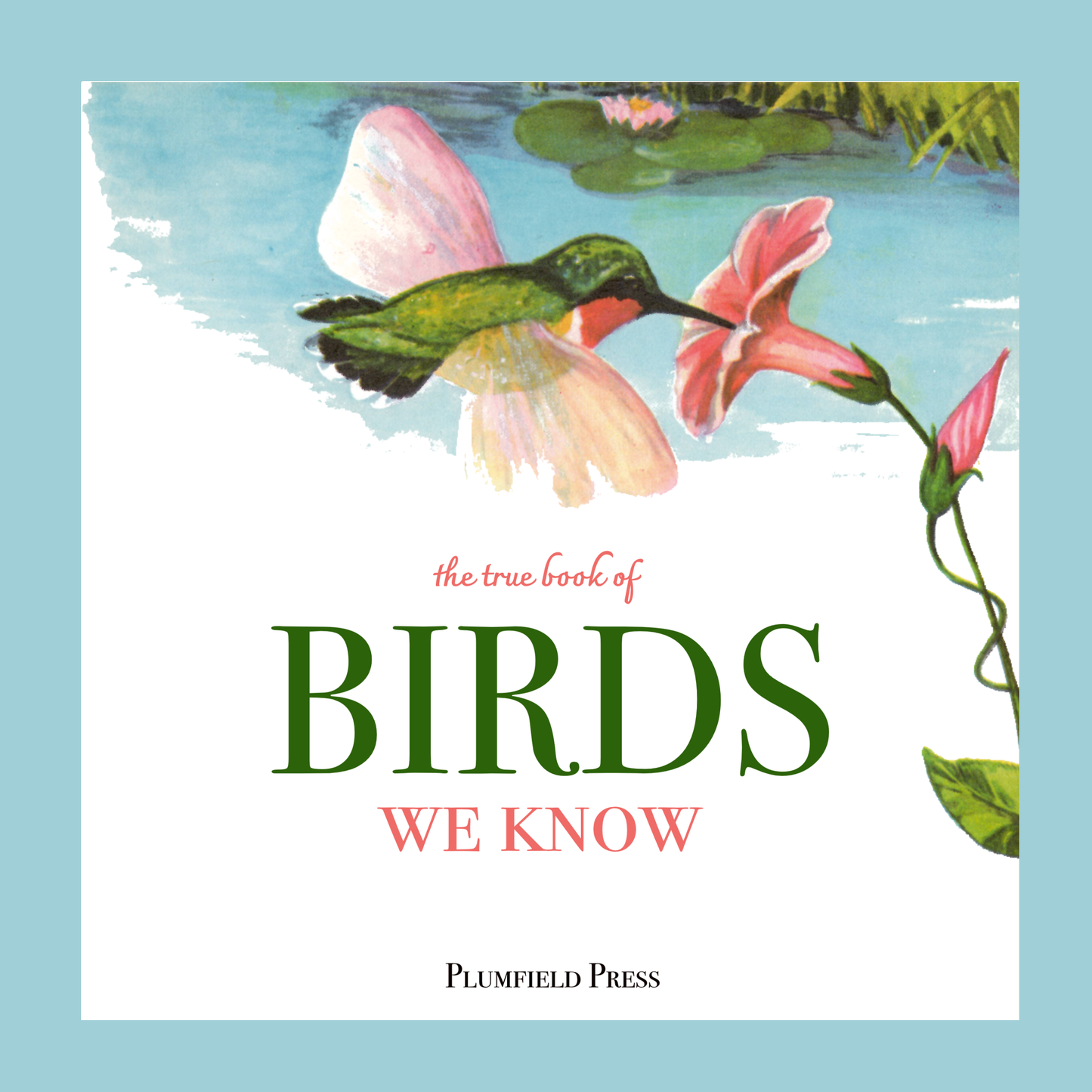 The True Book of Birds