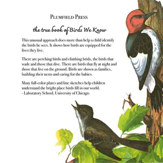 The True Book of Birds