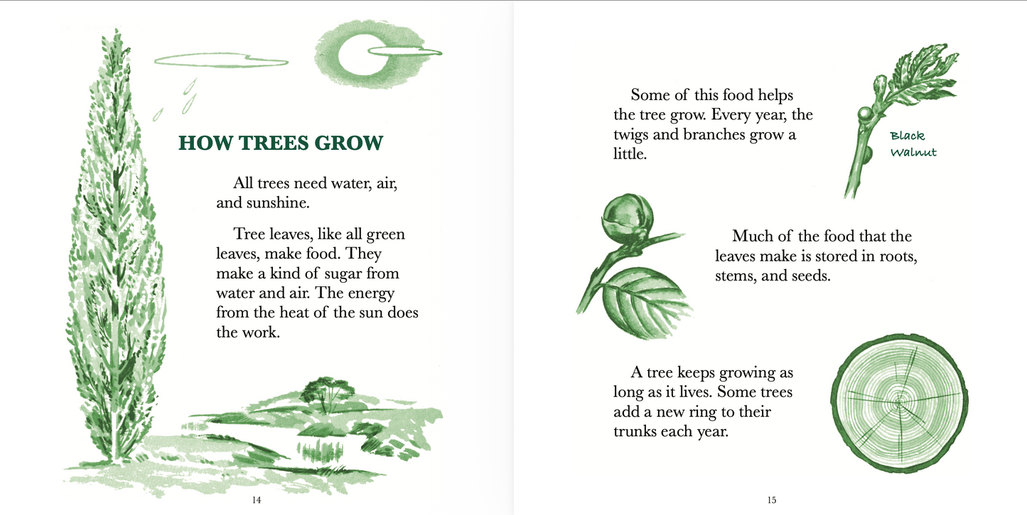 The True Book of Trees