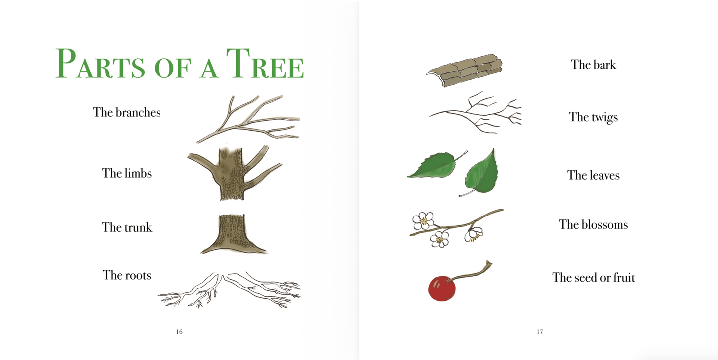 The True Book of Plants We Know
