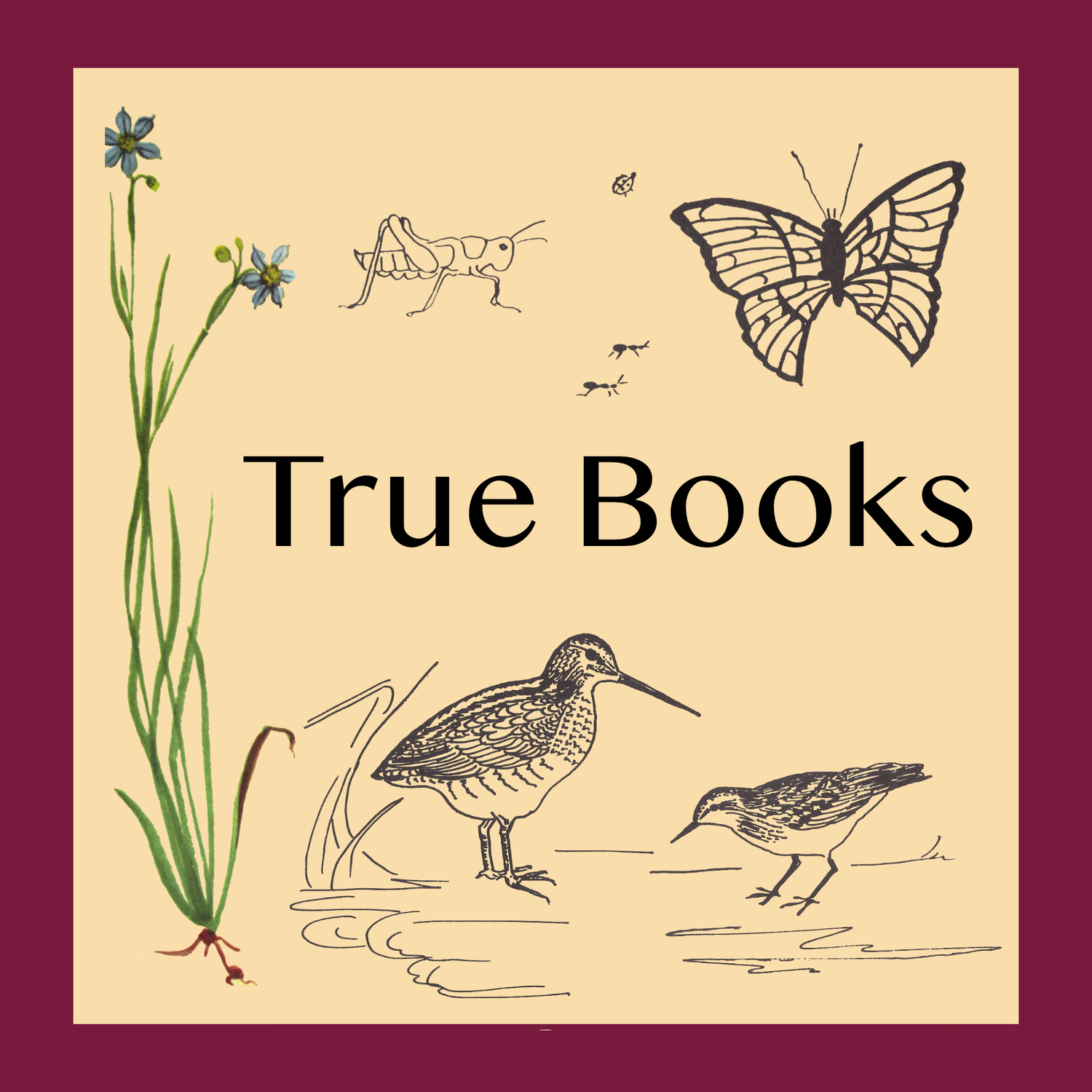 True Books