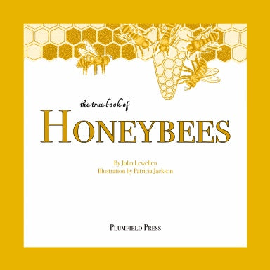 Book Cover Variant Thumbnail