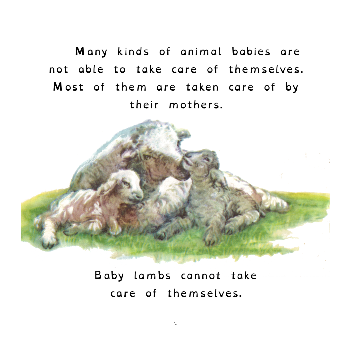 The True Book of Animal Babies (OpenDyslexic)