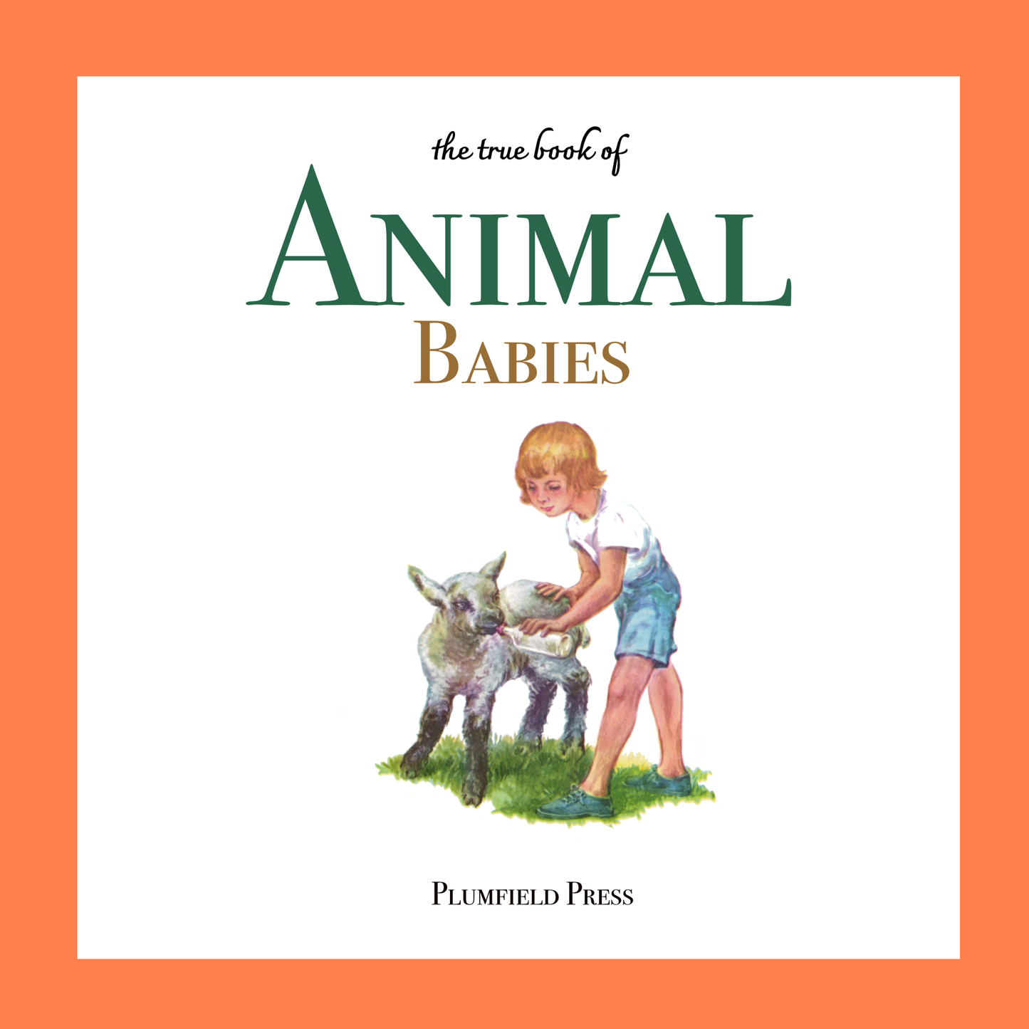 The True Book of Animal Babies (OpenDyslexic)