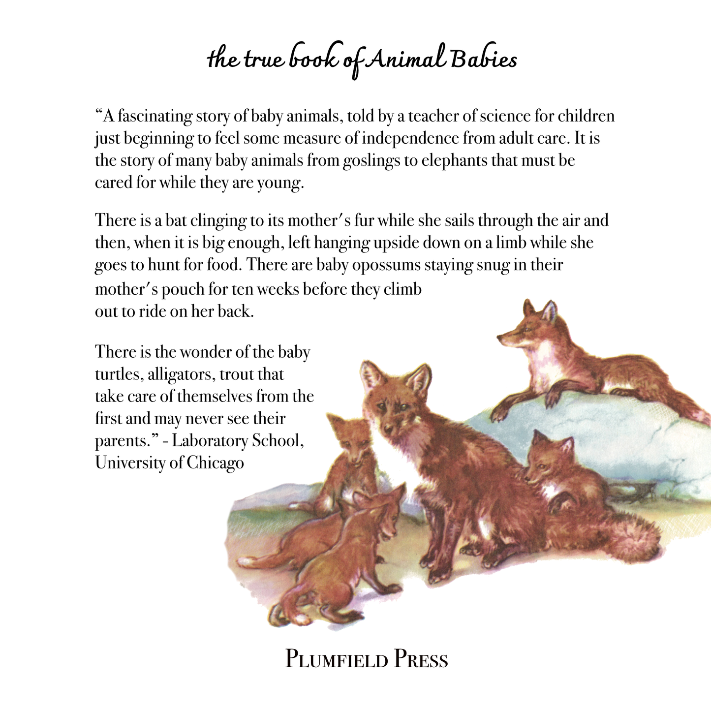 The True Books of Animal Babies