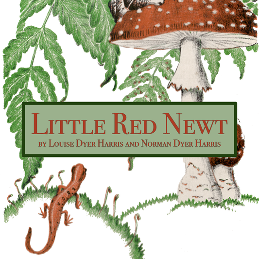 Little Red Newt