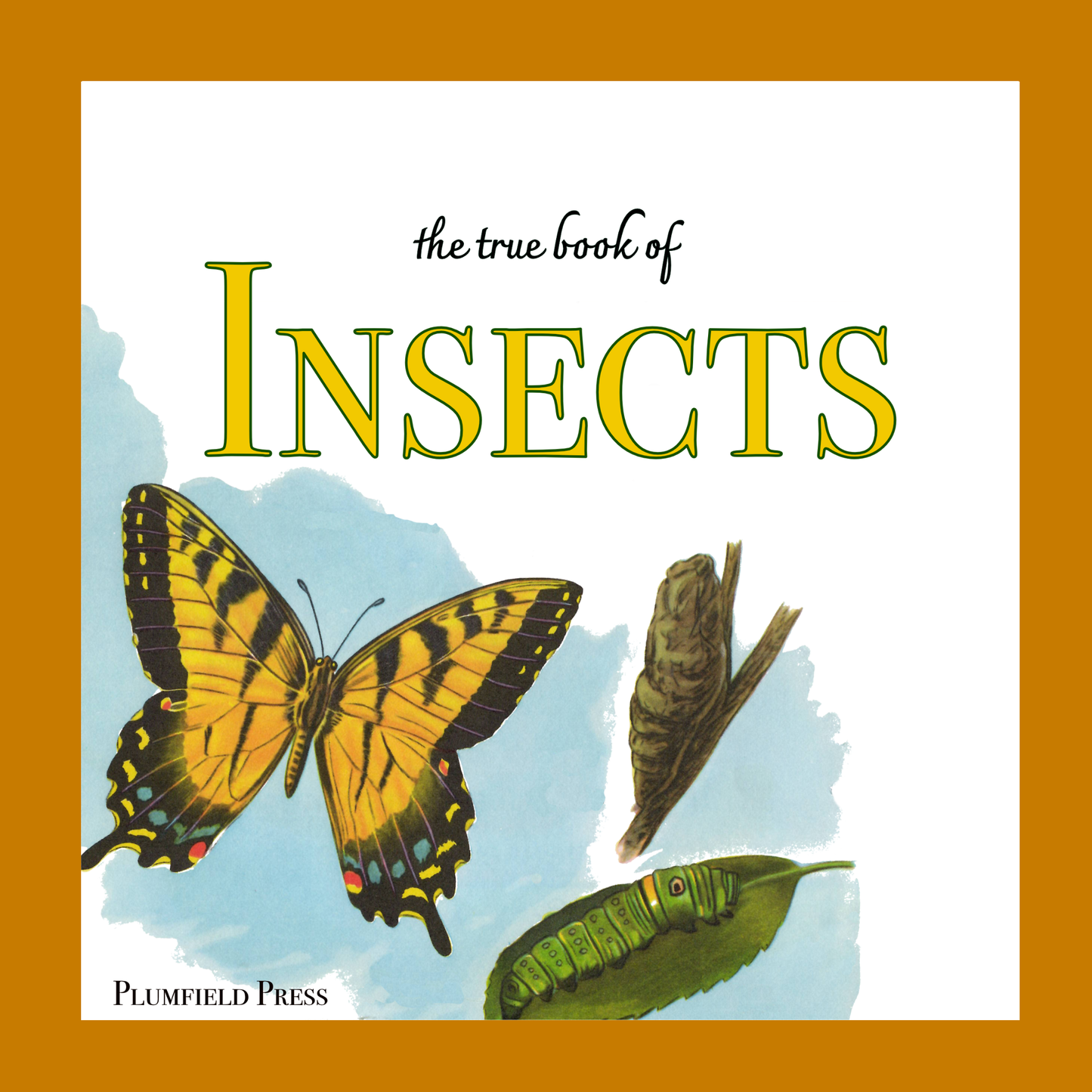 The True Book of Insects