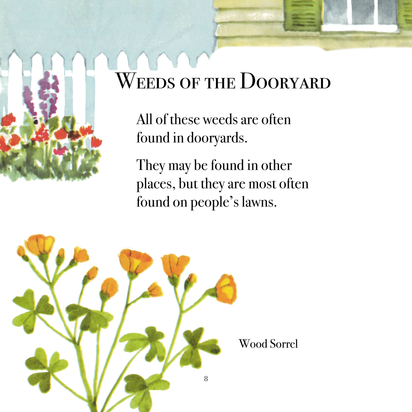 The True Book of Weeds and Wildflowers
