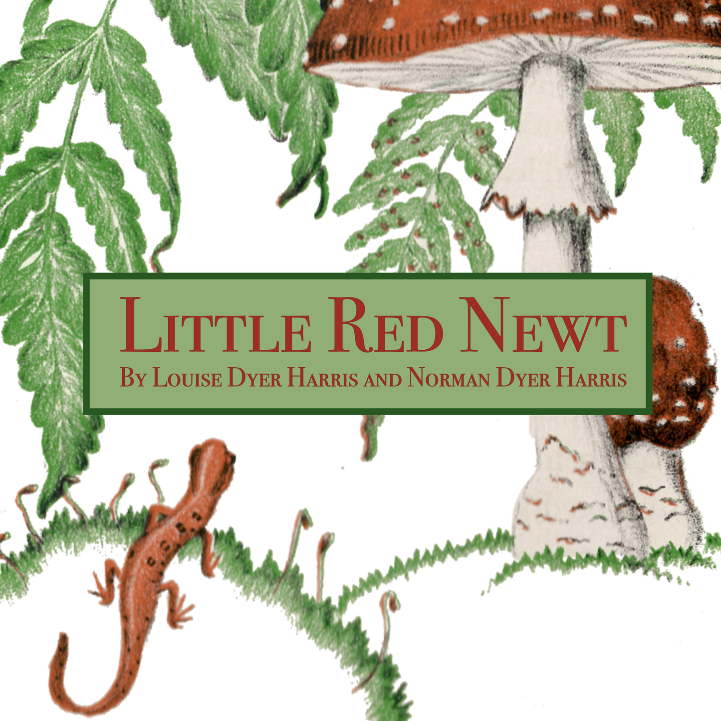 Little Red Newt (OpenDyslexic)