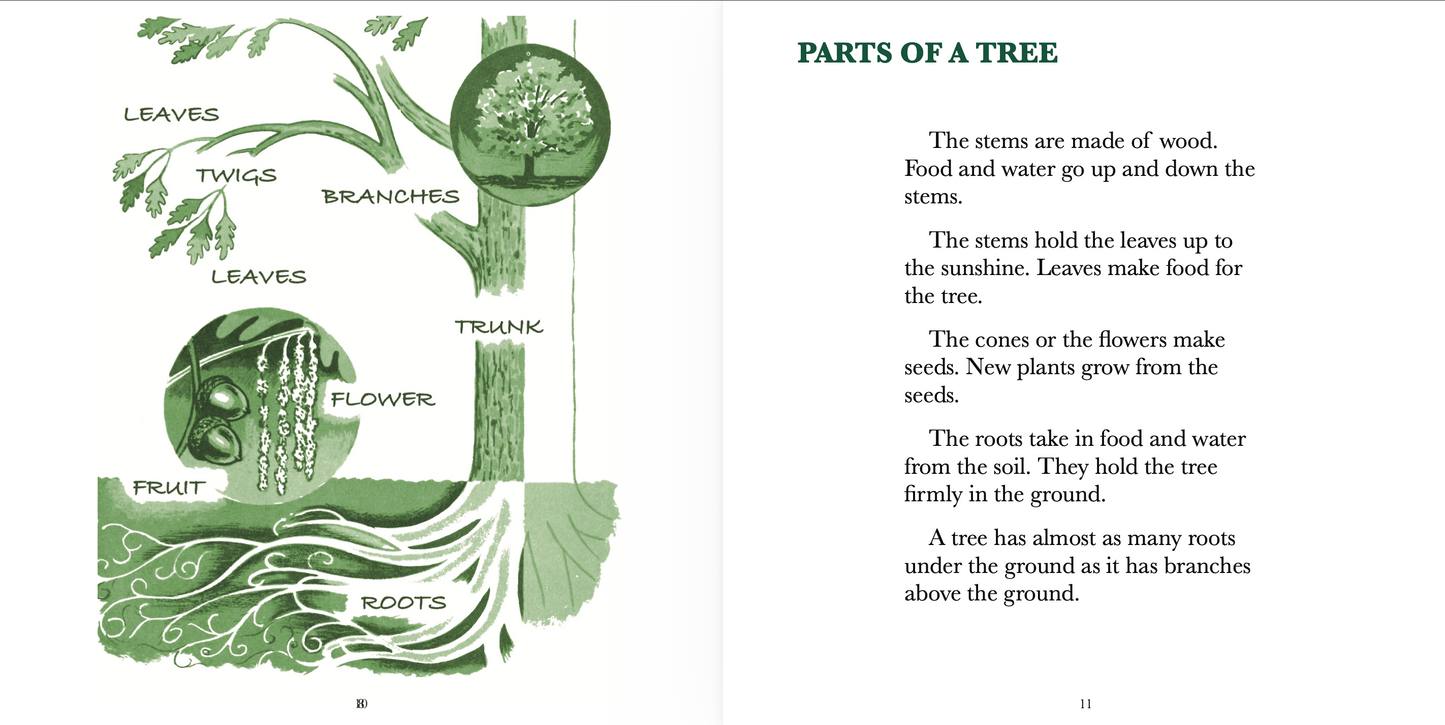 The True Book of Trees