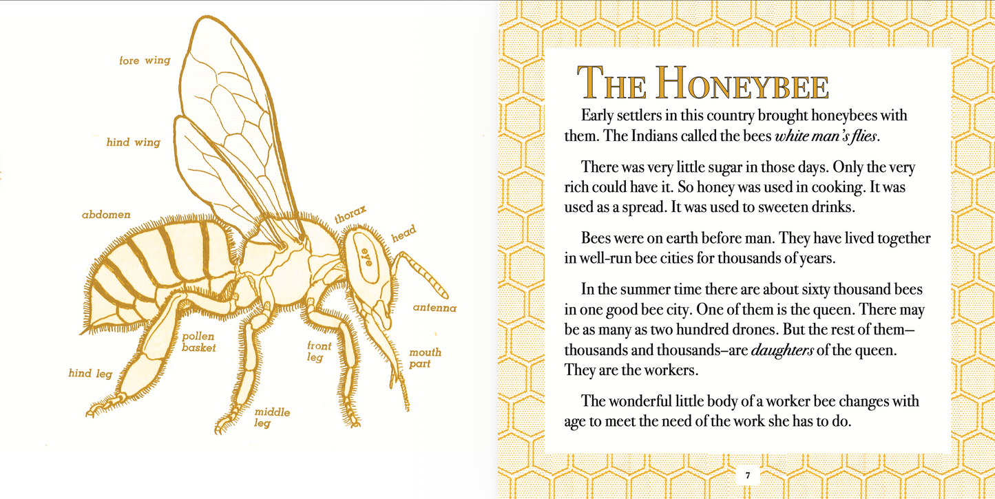 The True Book of Honeybees