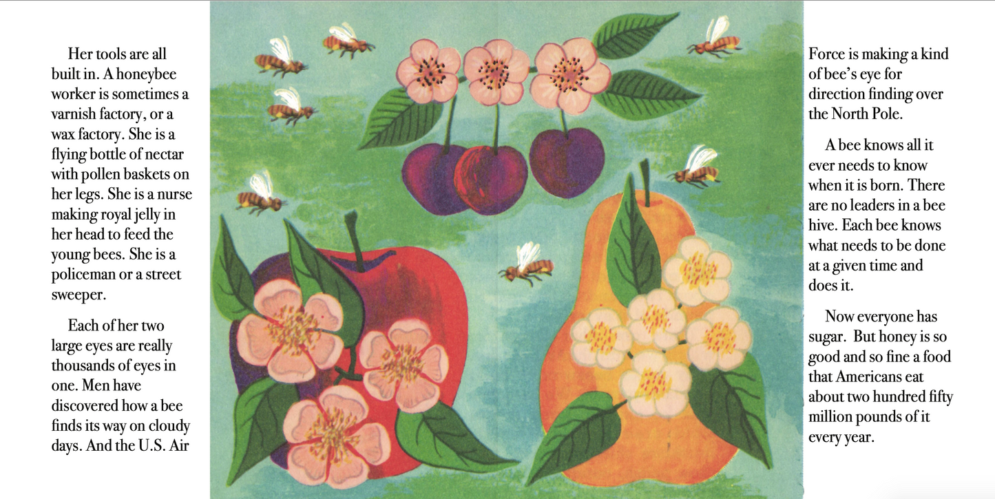 The True Book of Honeybees