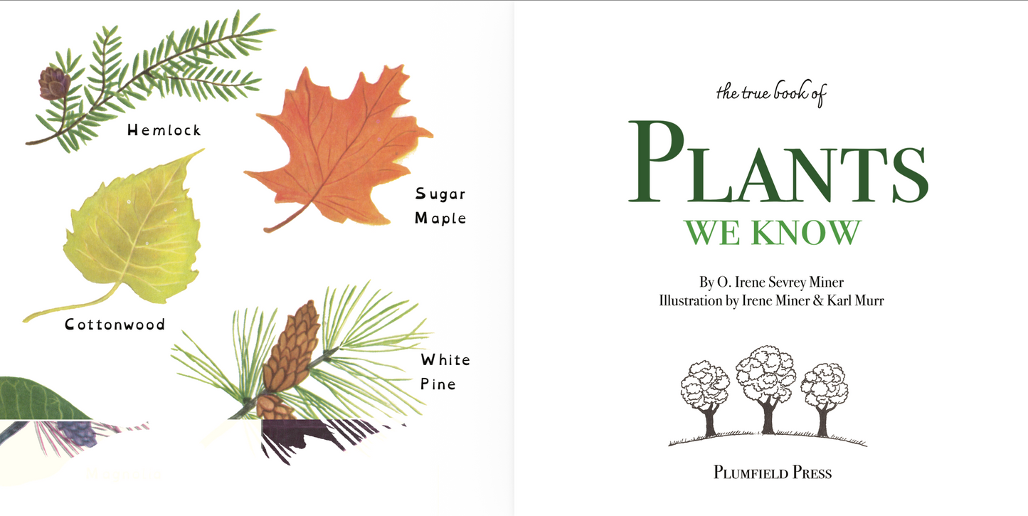 The True Book of Plants We Know (OpenDyslexic)