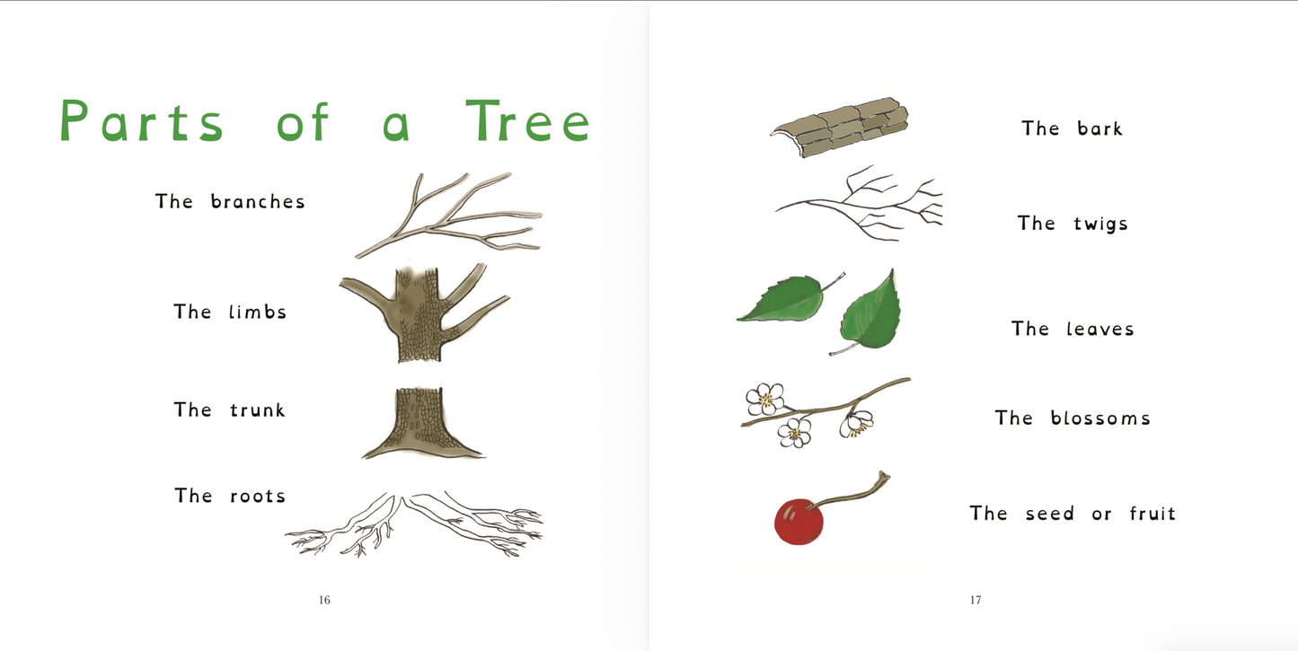 The True Book of Plants We Know (OpenDyslexic)