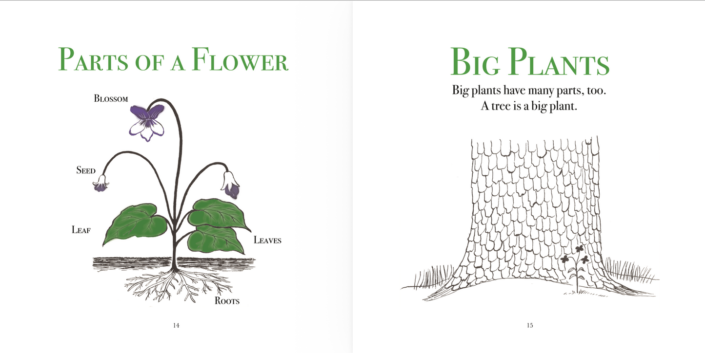 The True Book of Plants We Know
