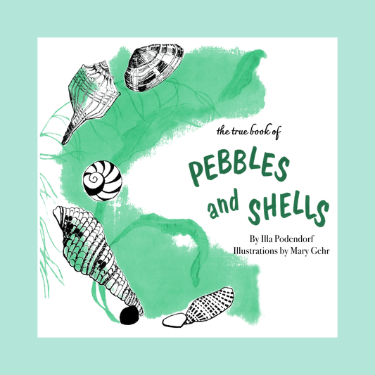 The True Book of Pebbles and Shells