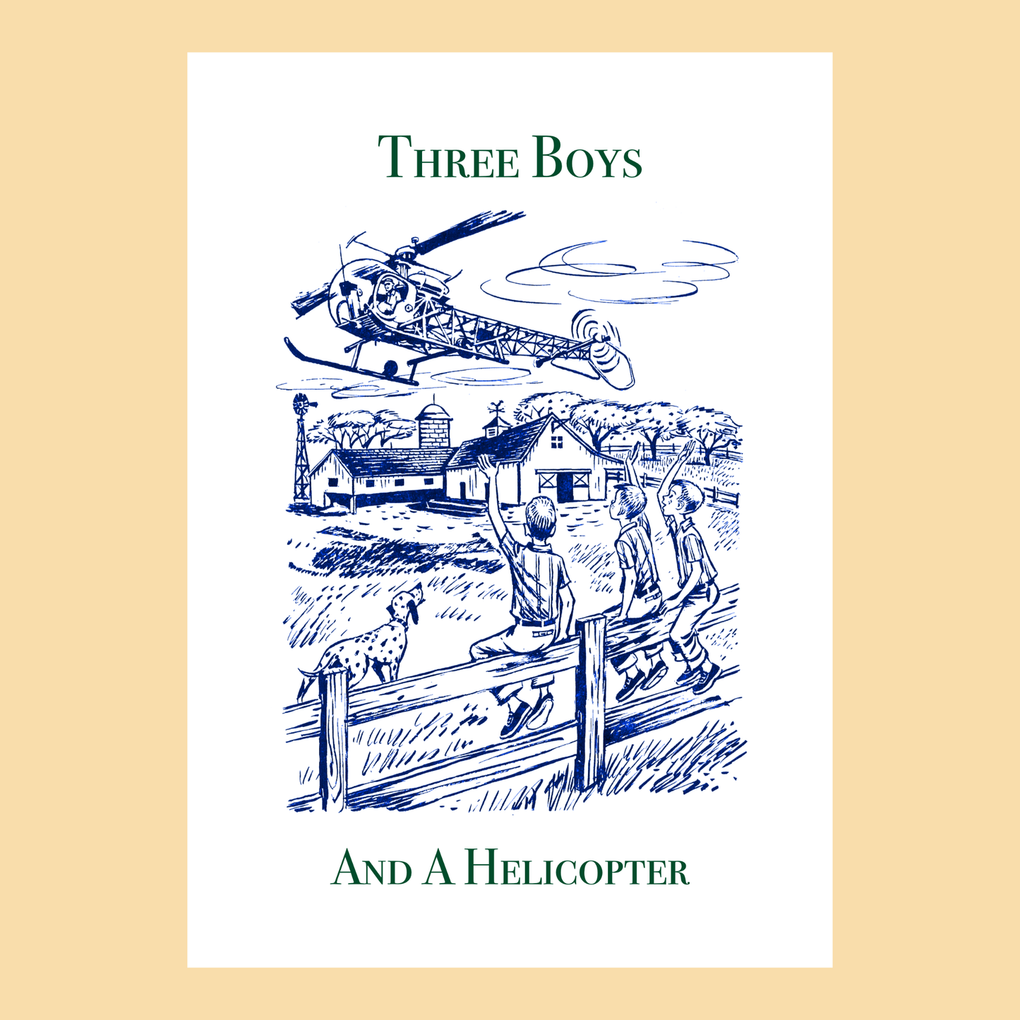 Three Boys And A Helicopter