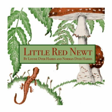 Book Cover Variant Thumbnail